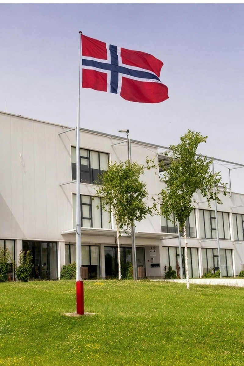 Why Companies Use Both Corporate and National Flags