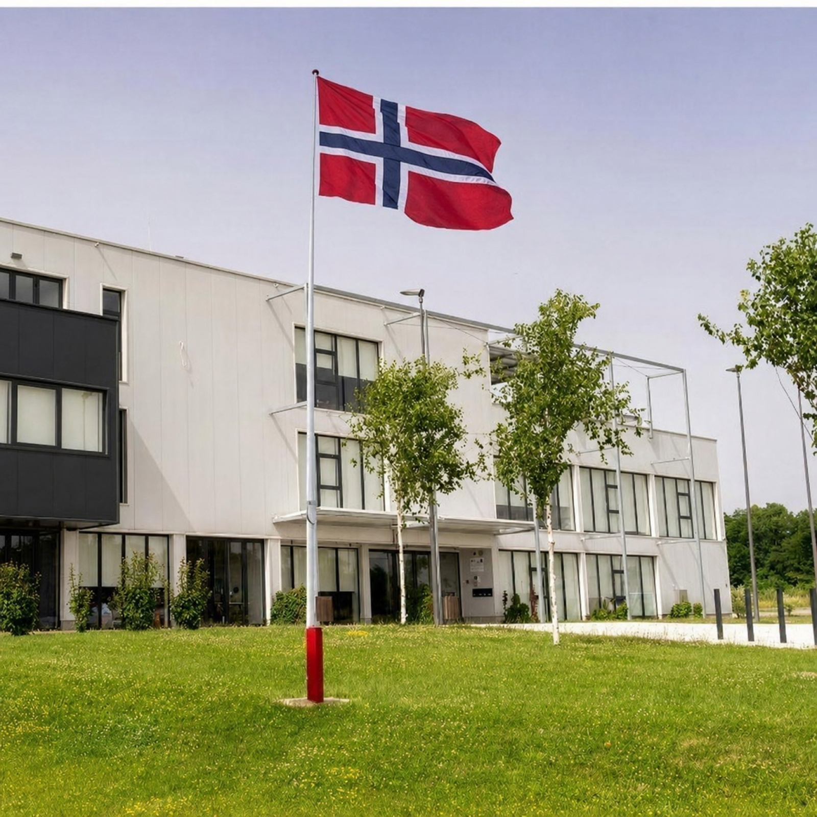 Why Companies Use Both Corporate and National Flags